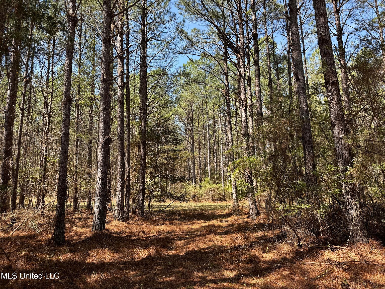 Dewey Grace Rd, De Kalb, MS 39328 Zillow