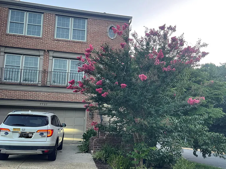 7727 Rockledge Ct — Photo 1