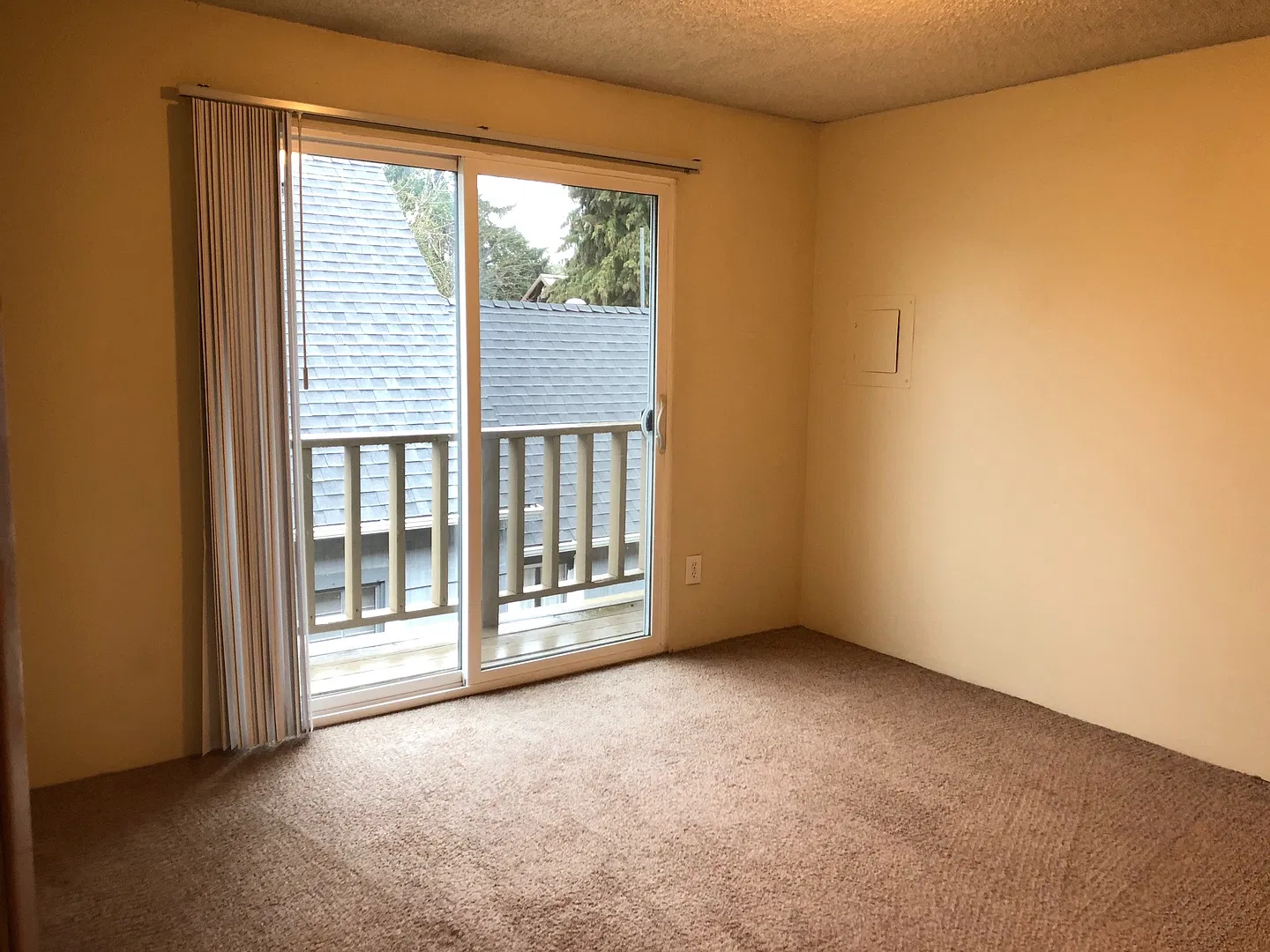 Shannon Apartments — Photo 3