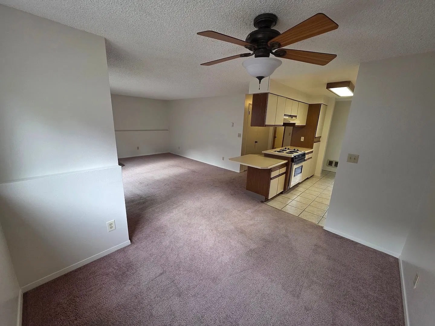3015 S Clinton Rd — Photo 4