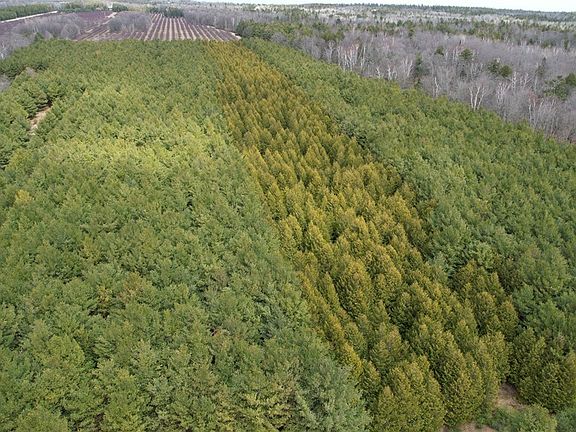 3rd image of LOT 3 Birch Rd