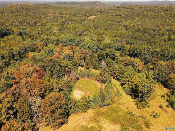 County Road 140, Town Creek, AL 35672