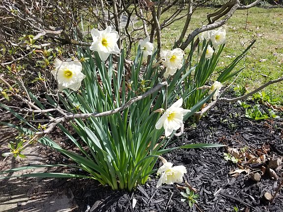 Spring has sprung!
