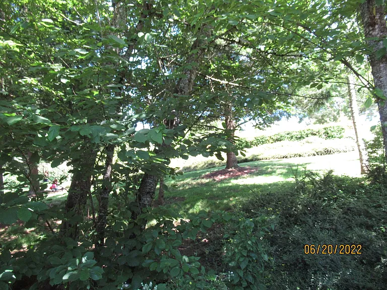 15808 SW Division — Photo 18