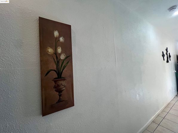 bay-area-california-2136137866 picture