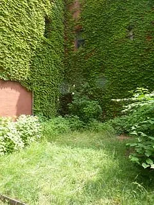 Rented by Realty on the Greene | media 8