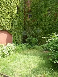 Rented by Realty on the Greene