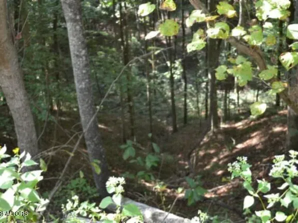 4 & 7 Weber Ln, Celina, TN 38551