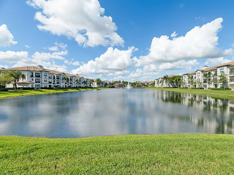 Pond views