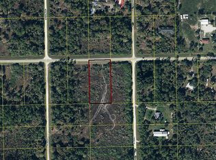 136 Hunting Club Ave, Clewiston, FL 33440