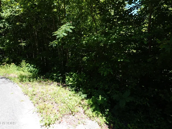 Wolfe Run Ln, Caryville, TN 37714