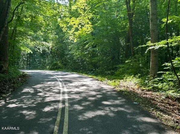 Mynatt Cir, Corryton, TN 37721