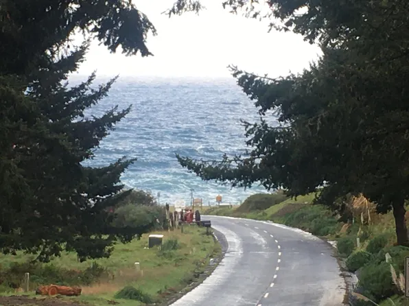 245 Albatross Rd, Whitethorn, CA 95589