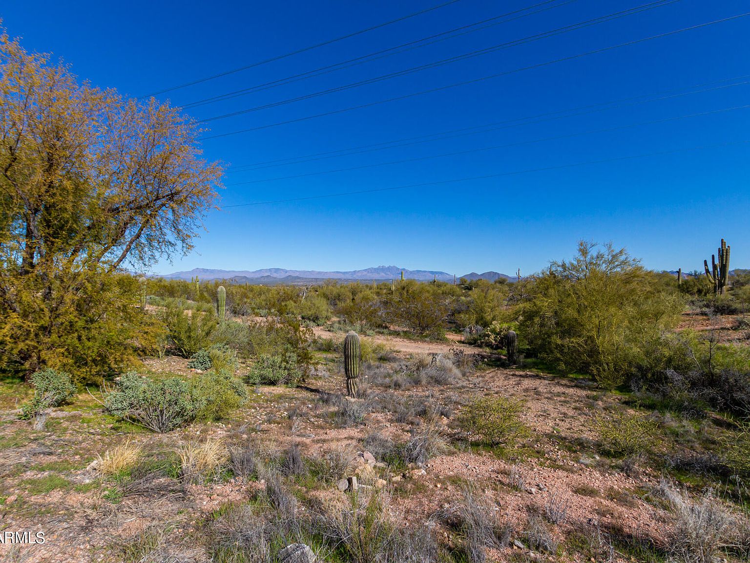 9817 N Gorden Dr, Fountain Hills, AZ 85268 | Zillow