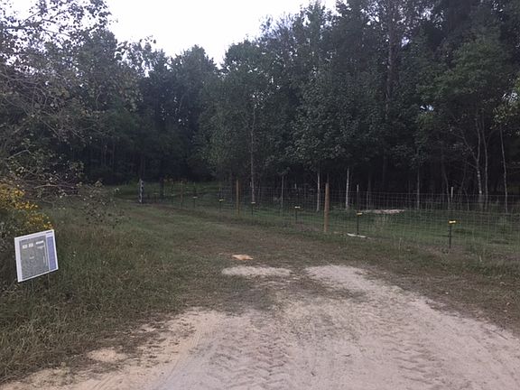 entry from Andrew Mouhot