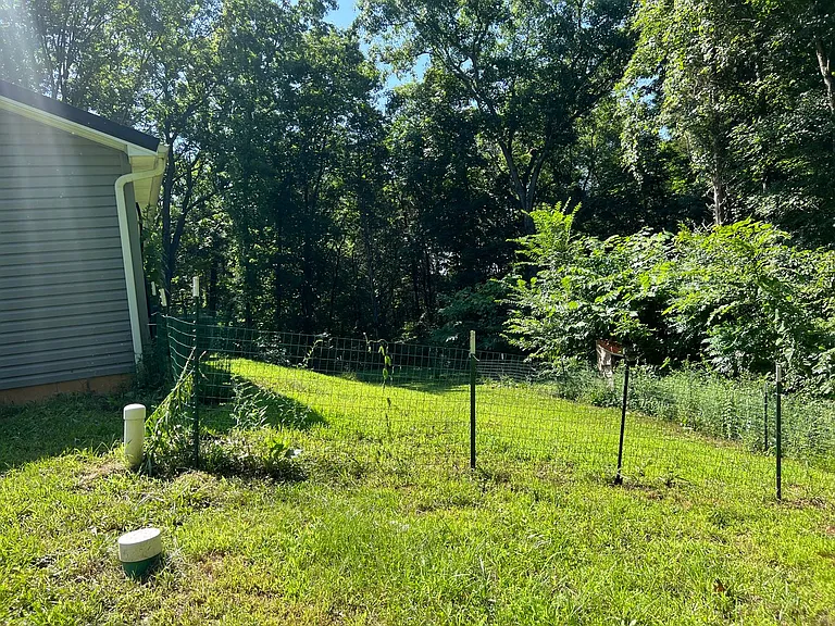 House on 5 acres 3 beds, 2 baths — Photo 3