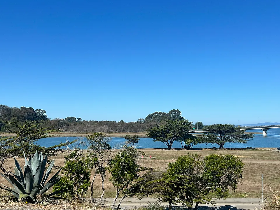 View from porch