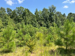 0 Ellis Jones Rd, Bienville, LA 71008