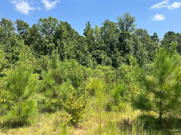 0 Ellis Jones Rd, Bienville, LA 71008