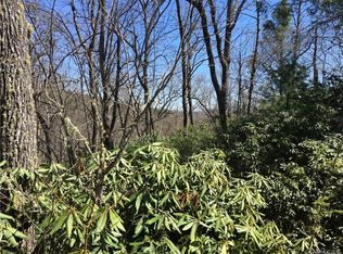 M80 Pine Mountain Trl #M80, Brevard, NC 28712