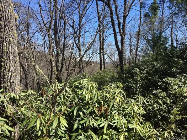 M80 Pine Mountain Trl #M80, Brevard, NC 28712