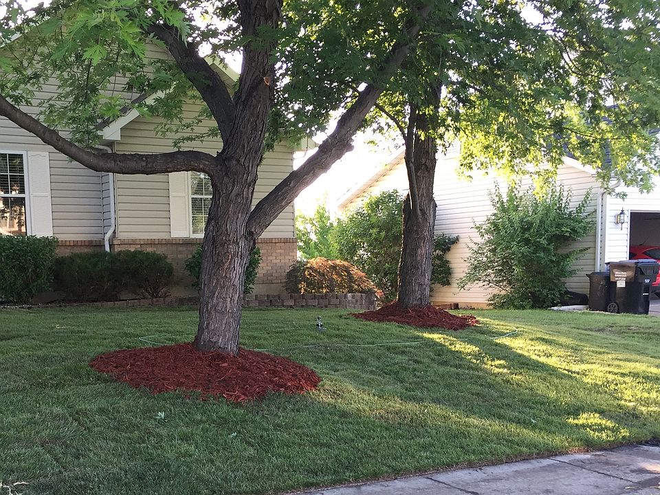 new sod/landscaping