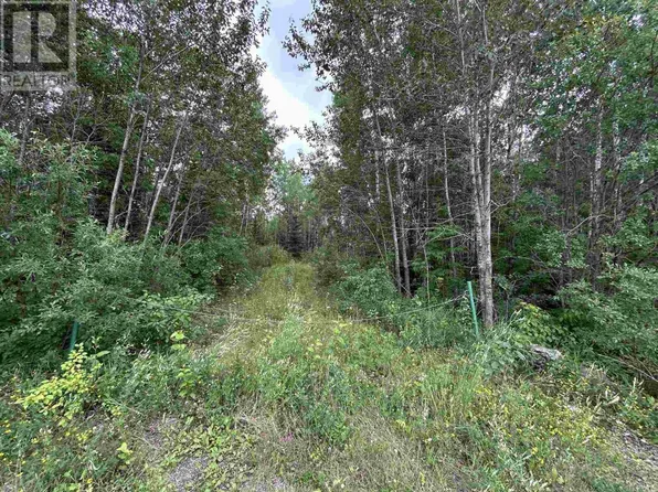 905 Frog Creek Rd, Alberton, ON P9A 3M2