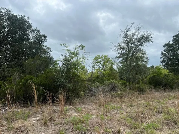 Tbd Ne 88th Ln, Bronson, FL 32621