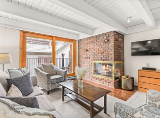 901 E Hyman Ave #14, Aspen, CO 81611