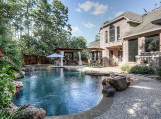 54 Chamomile Ct, Spring, TX 77382