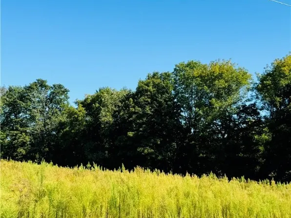 LOT 4D Carpenter Ave, Groton, NY 13073