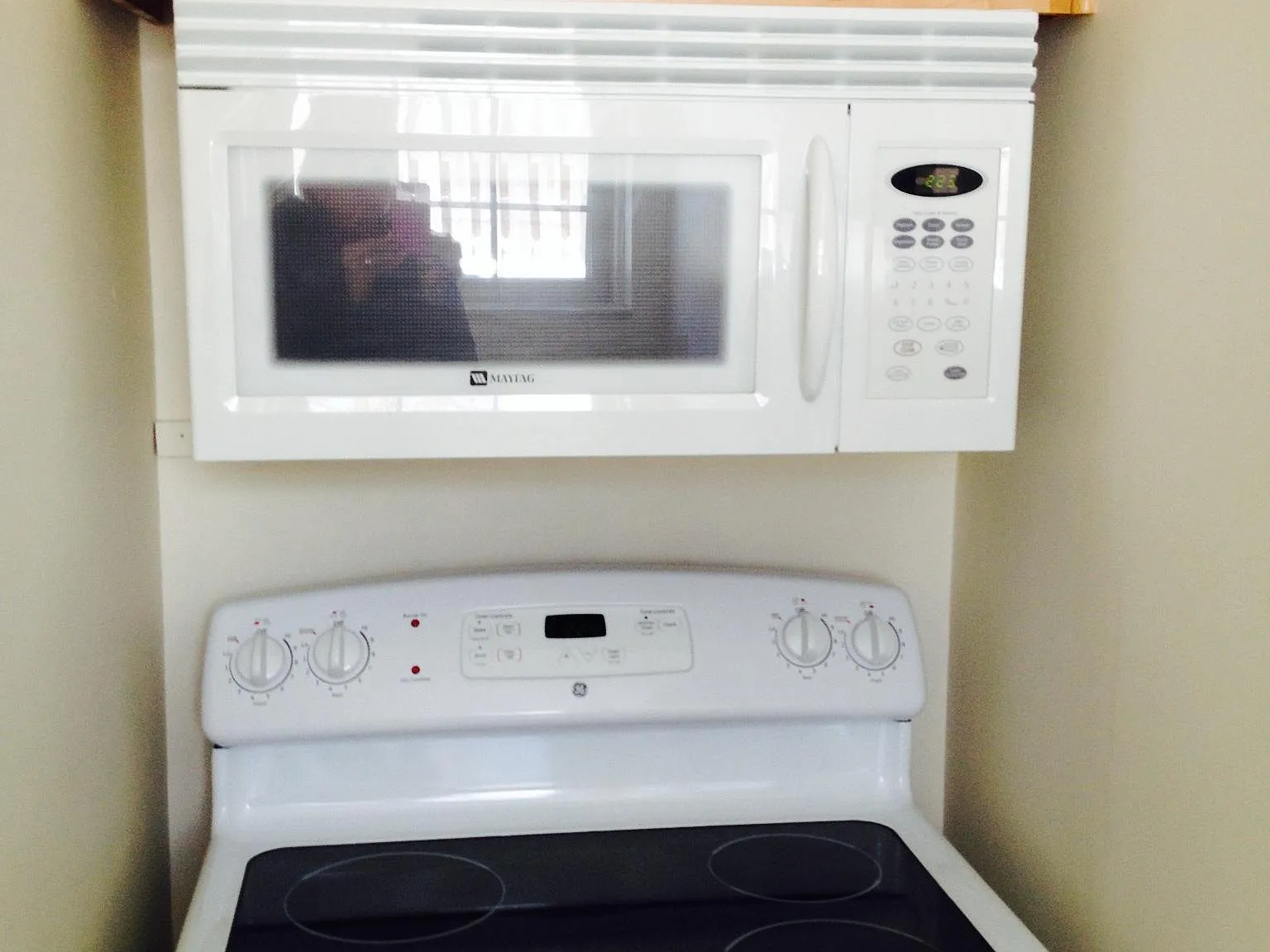 1 bed, 700 sqft, $1,295 — Photo 4