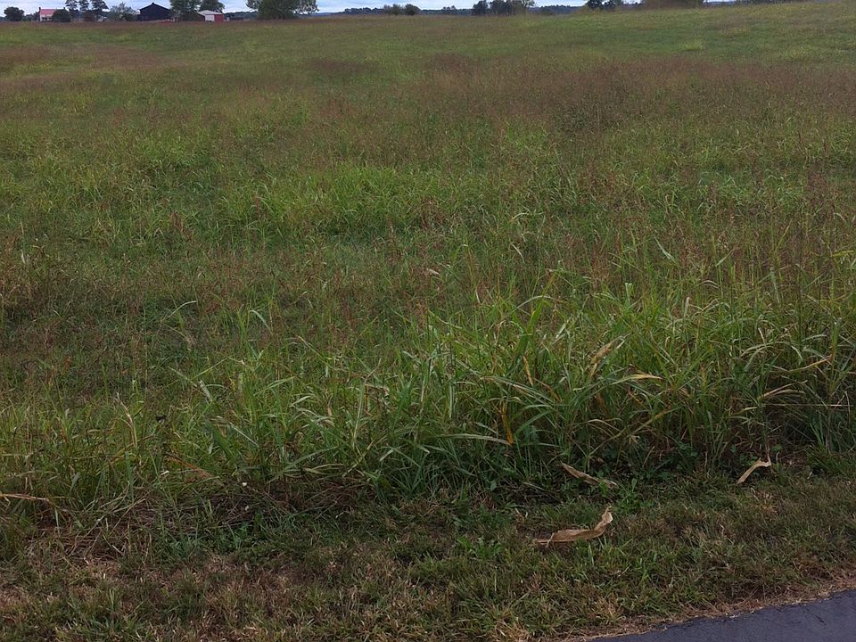 2nd image of 2185 Spencer Hamilton Road