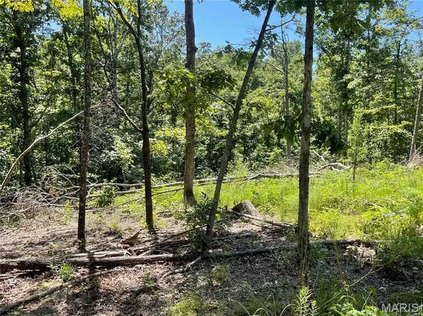 0 County Road 456, Piedmont, MO 63957