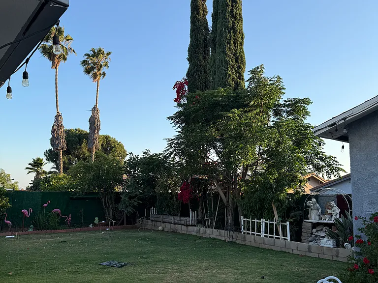 13085 Sunbird Dr — Photo 7
