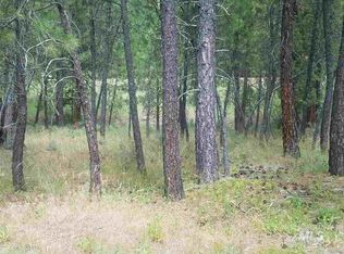 Tbd El Compo Lantz Ln, Lowman, ID 83637