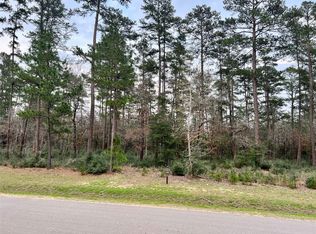 9 Lily Bean Rd, Montgomery, TX 77316