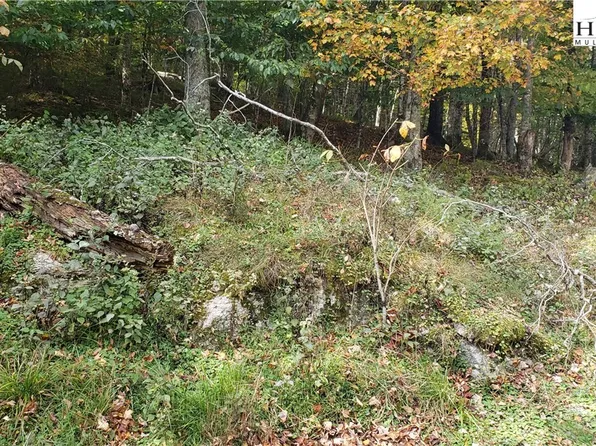 146 Hornbeam Road, Beech Mountain, NC 28604