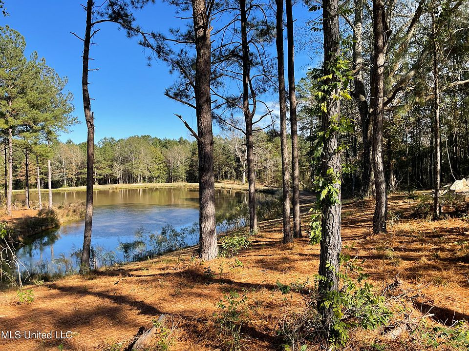 116 Taylor Hill Rd 15, Braxton, MS 39044 MLS 4034387 Zillow