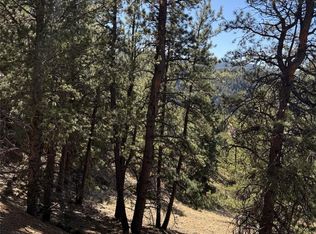 1440 Pikes Peak Dr, Divide, CO 80814