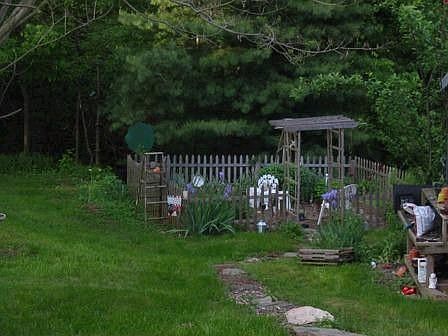 Herb Garden in back yard.