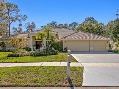 4917 Londonderry Dr, Tampa, FL, 33647