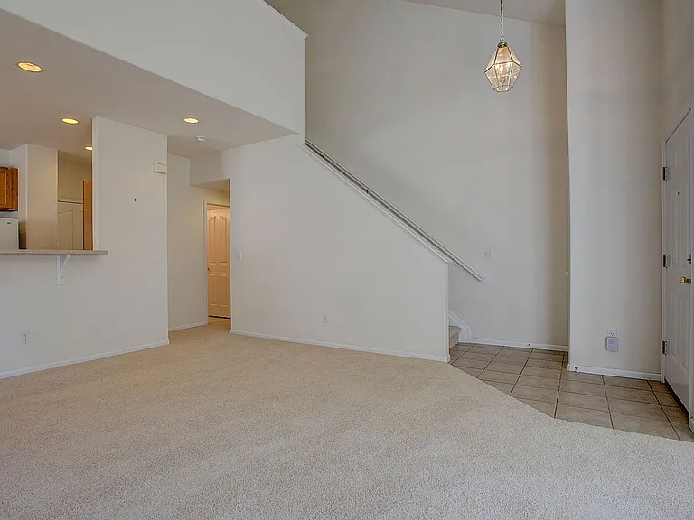 2770 Whitetail Cir — Photo 5