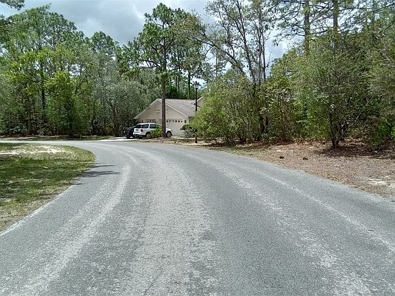 4th image of 18 Drypetes Ct W