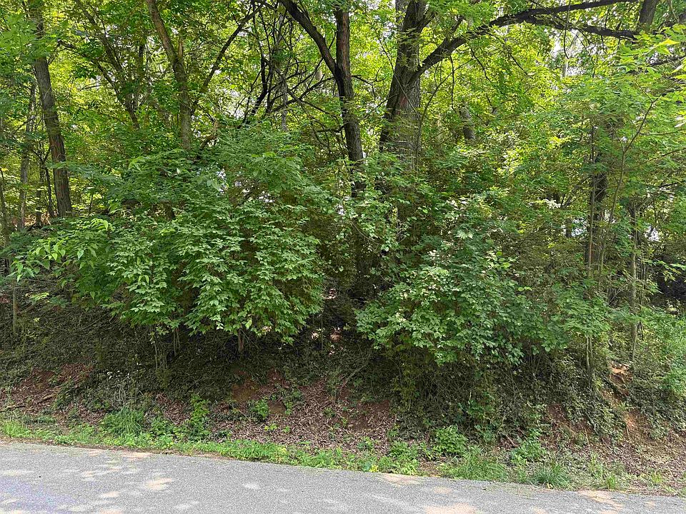 2nd image of Chestnut St