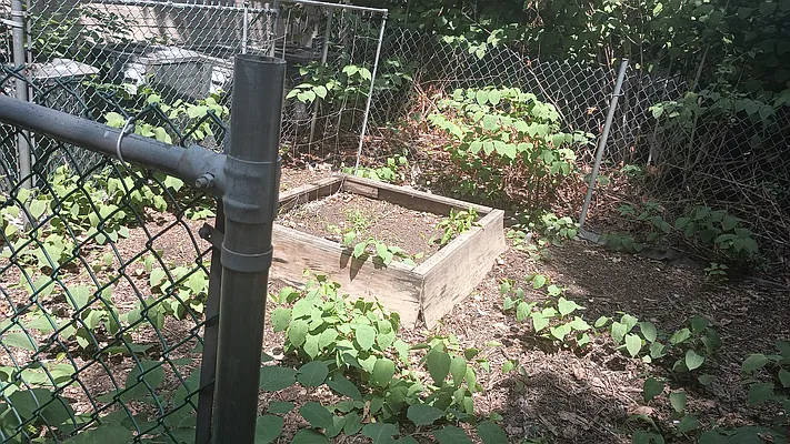 Rented by Oxford Property Group | media 13