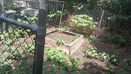 Rented by Oxford Property Group