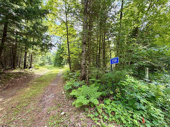 3rd image of 2581 Deer Ln