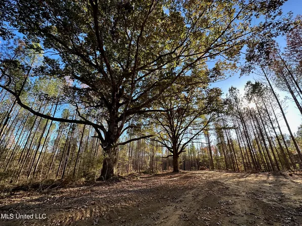 County Road 4137, Sallis, MS 39160