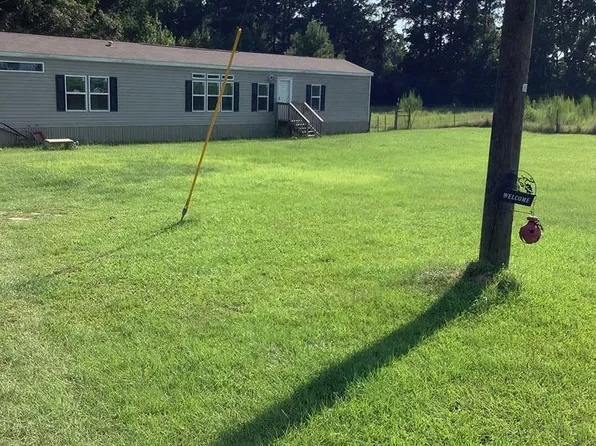 539 Lonnie Rd, Cottonwood, AL 36320